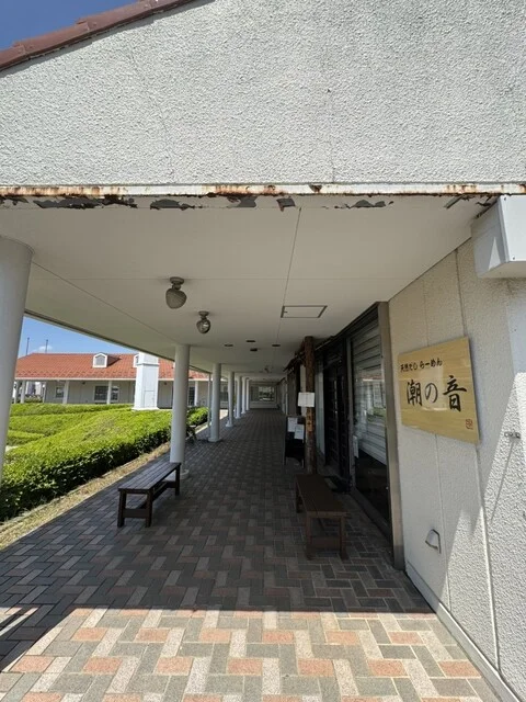 天然だしらーめん 潮の音（シオノネ） - 名取市その他（ラーメン）の写真