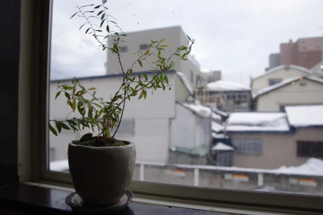 quatre cafe（カトルカフェ） - 青森（カフェ）の写真