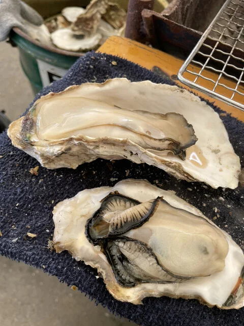 かき小屋仙台港 - 陸前高砂（海鮮）の写真