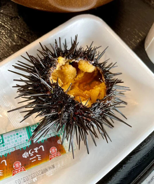 片倉商店 ハマテラス店 - 女川（その他）の写真