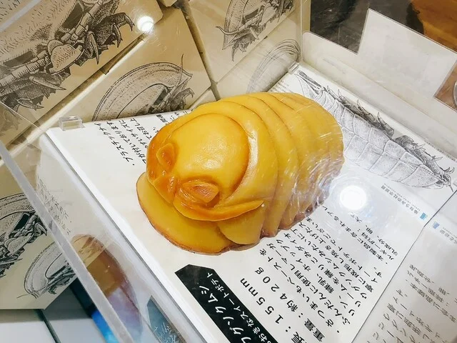 うみの杜水族館 ウミモリショップ（うみの杜水族館 umimori shop） - 中野栄（洋菓子）の写真