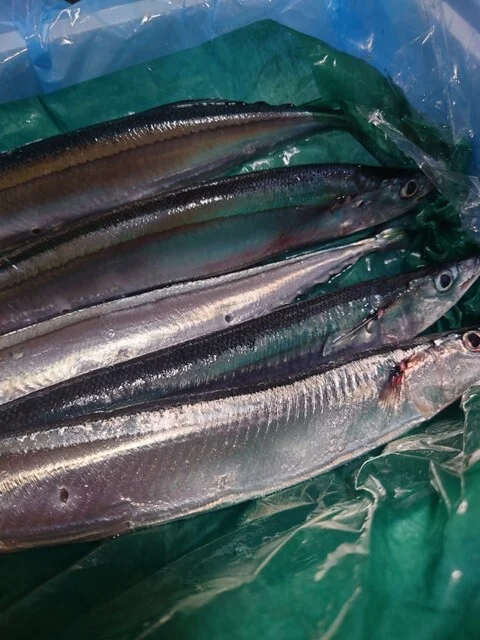 株式会社 磯屋水産（カブシキガイシャ イソヤスイサン） - 南気仙沼（その他）の写真