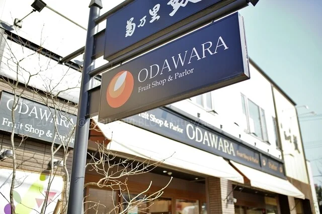 フルーツショップ＆パーラー おだわら（Fruit Shop&Parlor ODAWARA） - 本八戸（ケーキ）の写真