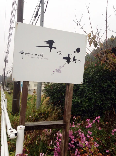 千の桜 - 陸前浜田（カフェ）の写真
