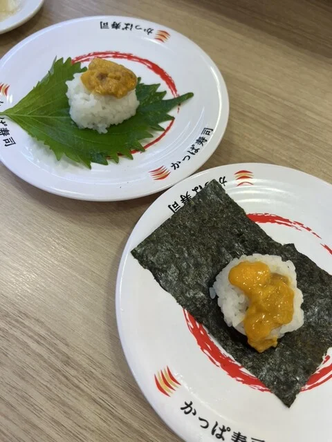 かっぱ寿司 仙台中野栄店 - 中野栄（寿司）の写真