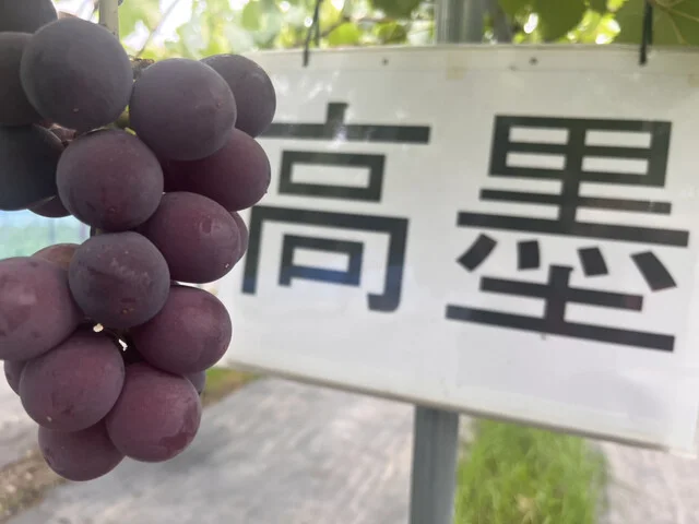 田所食品株式会社 - 山下（その他）の写真