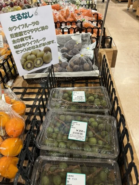 道の駅 とわだ - 十和田市（道の駅）の写真