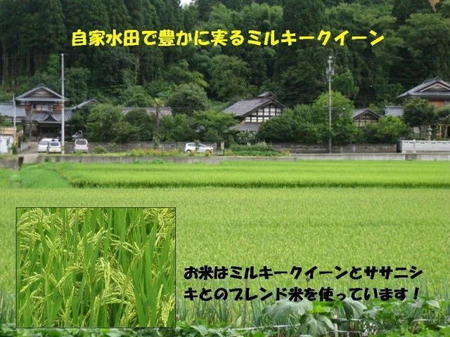 塩釜あがらいん - 本塩釜（海鮮丼）の写真