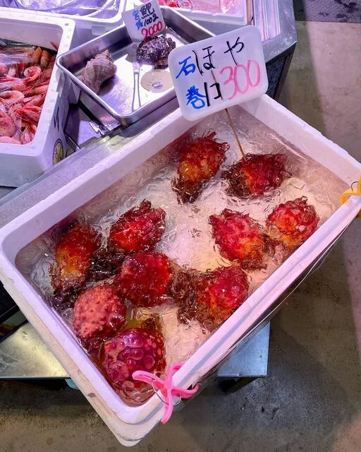金華山 高野商店（キンカサン タカノショウテン） - あおば通（その他）の写真