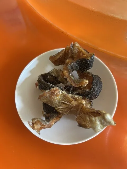 追の沢マス釣場 - 中央弘前（麺類）の写真