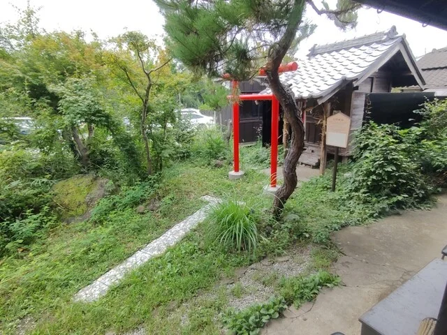 初代 伝五郎 - 八木山動物公園（そば）の写真