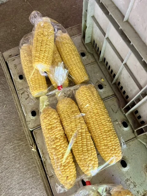 柳田とうもろこし店 - 岩木町その他（その他）の写真