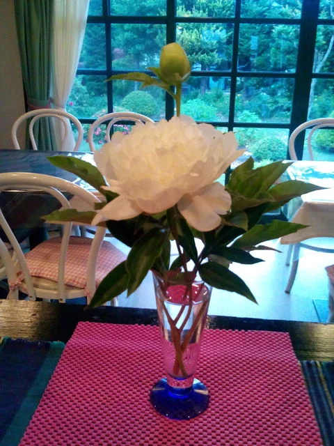 プリムヴェール - 弘前学院大前（カフェ）の写真