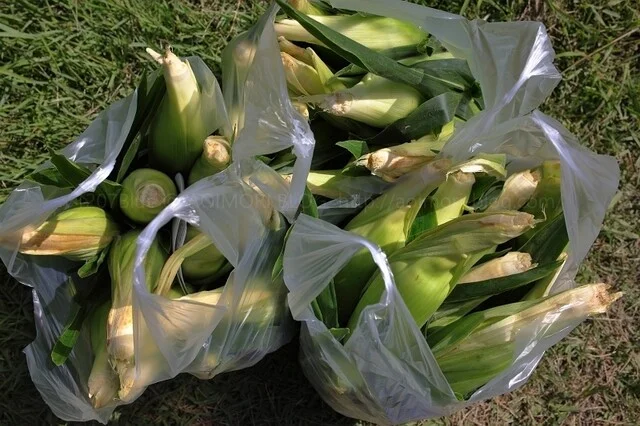 崎野農園 とうもろこし直売所 - 弘前市その他（その他）の写真