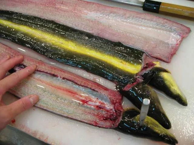 津軽割烹未来 - 青森（日本料理）の写真