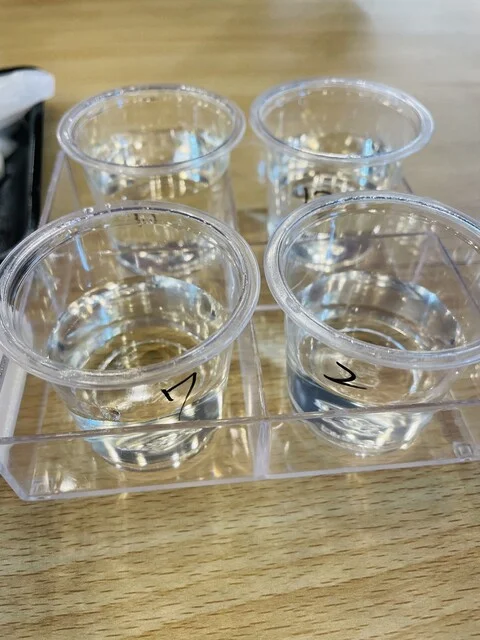 塩釜水産物仲卸市場 - 東塩釜（その他）の写真