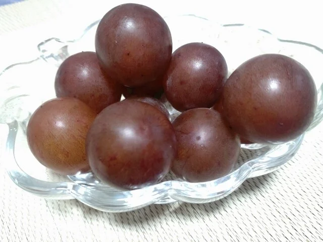 味菜鮮 - 南仙台（その他）の写真