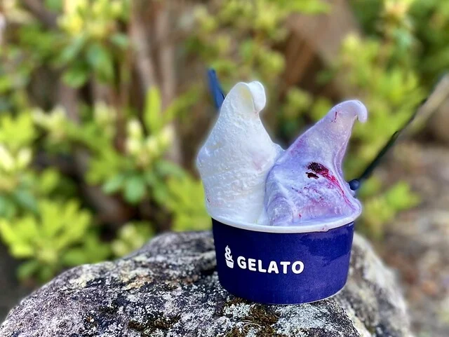 &Tomiya Gelato（アンド トミヤ ジェラート） - 富谷町その他（ジェラート・アイスクリーム）の写真