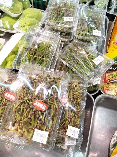 やまはる 旭ヶ丘店 - 白銀（その他）の写真