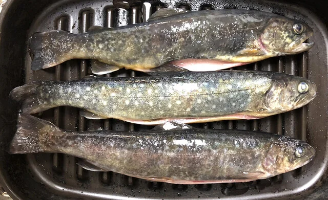 野口商店 - 栗原市その他（その他）の写真