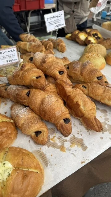 アンジェリーナ - 小中野（パン）の写真