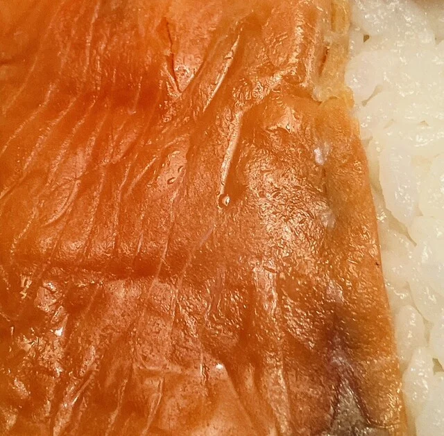 ブナの森弁当売店 - 新青森（弁当）の写真