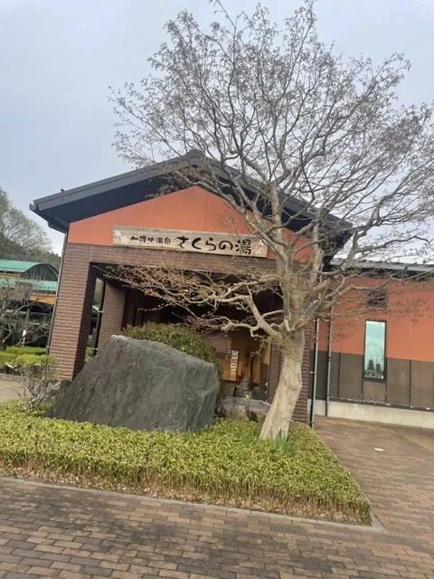 さくらっこ - 田尻（その他）の写真