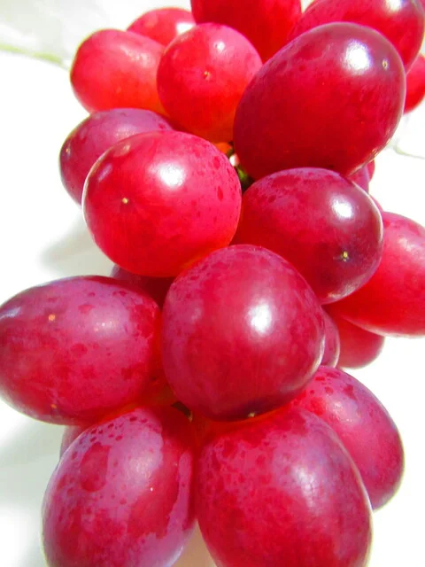 みやぎ生協 南光台店 - 黒松（コンビニ・スーパー）の写真