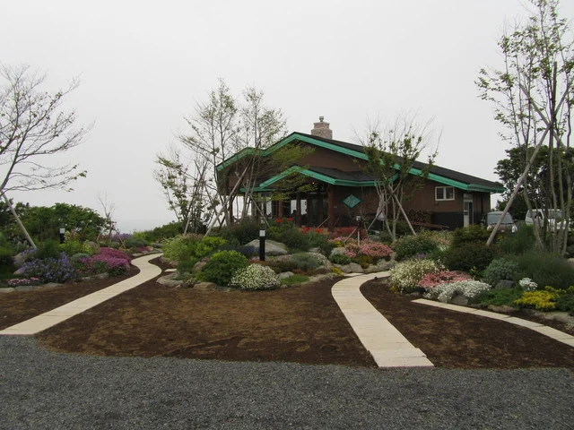 うみ音 （ウミネ） - 鮫（カフェ）の写真