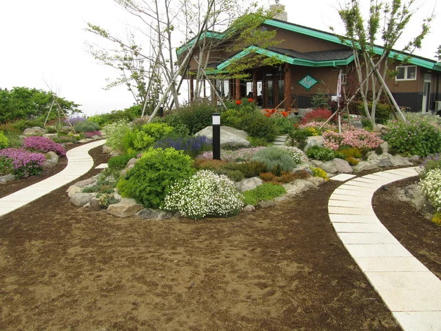 うみ音 （ウミネ） - 鮫（カフェ）の写真