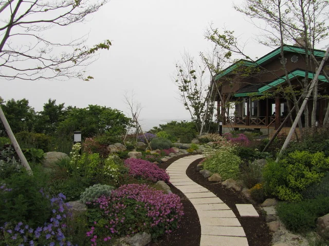 うみ音 （ウミネ） - 鮫（カフェ）の写真