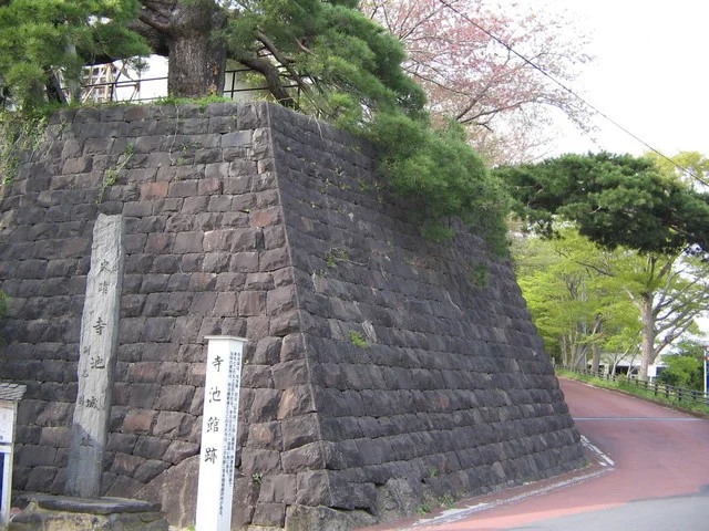 今野屋 - 登米市その他（そば）の写真