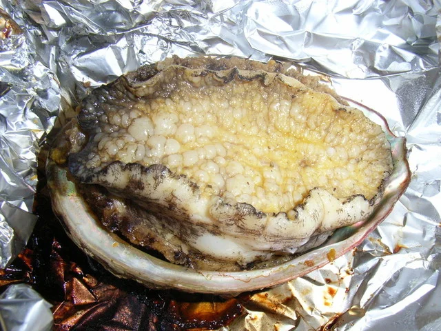 漁師の宿　石田屋 - 最知（旅館・民宿）の写真