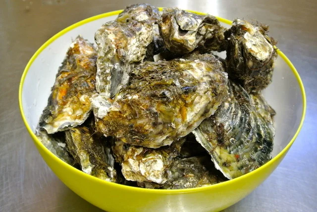 たからや食堂 - 松島海岸（郷土料理）の写真