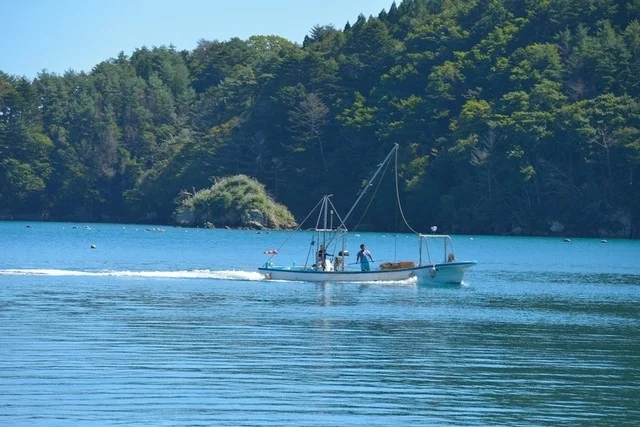 オストラ デ オーレ（Ostra de ole） - 青葉通一番町（かき）の写真