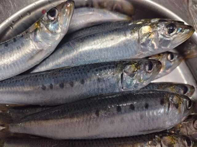 平初鮮魚店 - 女川（その他）の写真