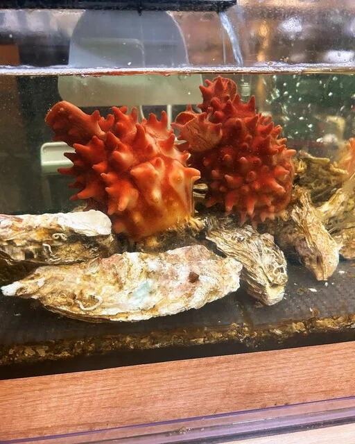 酒と料理 Mock（モック） - 本八戸（創作料理）の写真