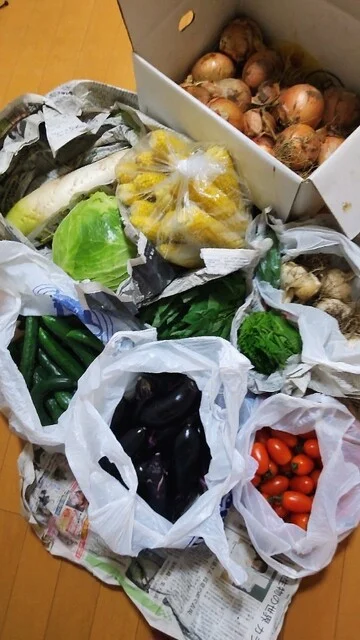 インドレストランガネーシャ 泉店（INDIAN RESTAURANT GANESH） - 泉中央（インドカレー）の写真