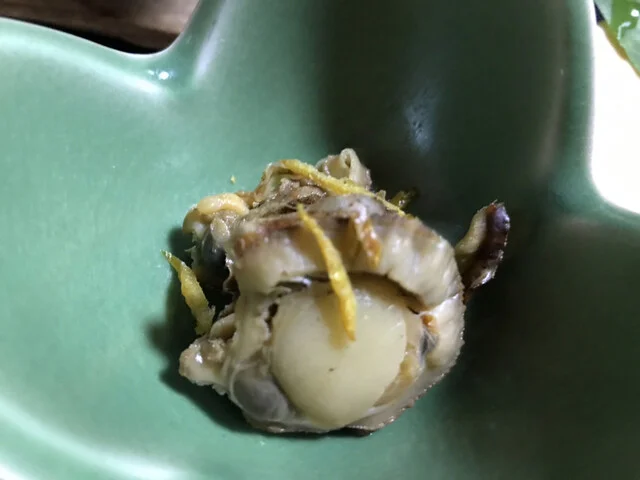 亀山荘 - 松岩（旅館・民宿）の写真