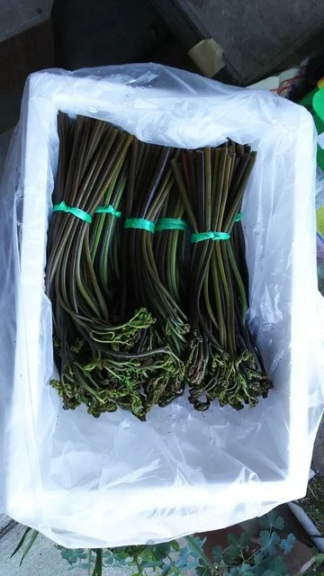 あがらいん伊達屋 - あぶくま（弁当）の写真