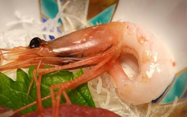 浅虫さくら観光ホテル - 浅虫温泉（ホテル）の写真