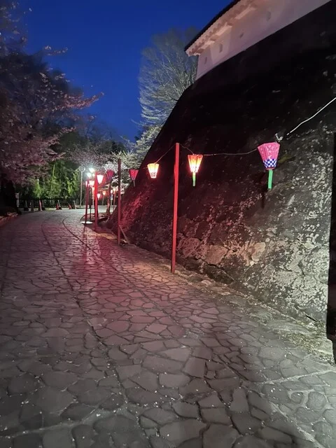 しのぶ - 白石（居酒屋）の写真