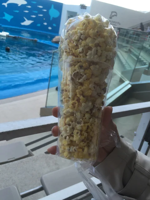 うみの杜水族館 軽飲食店･グッズ売店 - 中野栄（その他）の写真