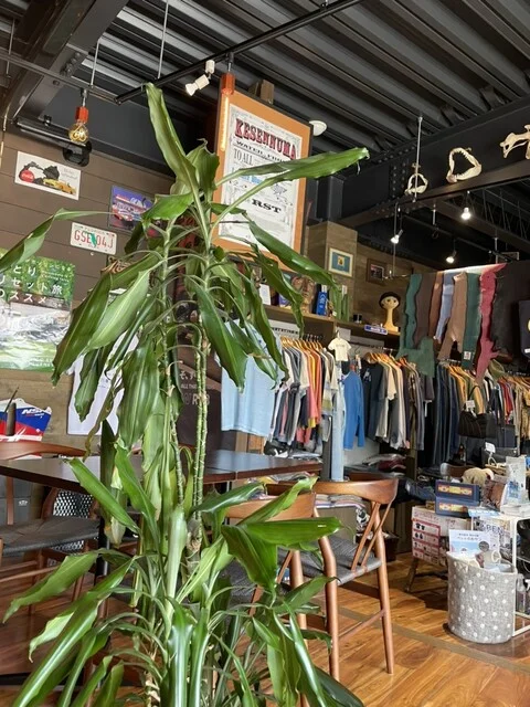 カフェ アールエスティー（cafe RST） - 南気仙沼（カフェ）の写真