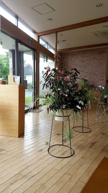 ランチボックス - 登米市その他（オーガニック）の写真