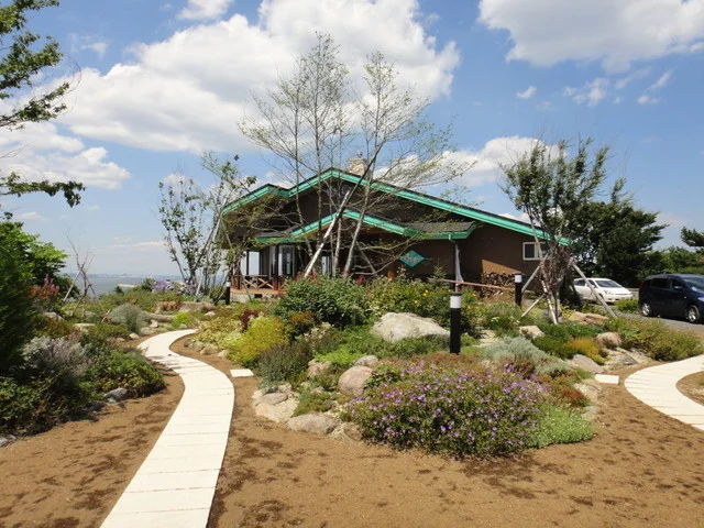 うみ音 （ウミネ） - 鮫（カフェ）の写真