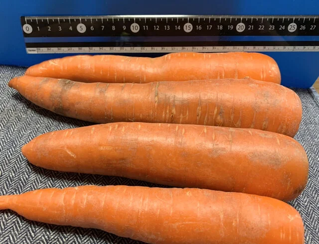 菅井農園 - 美田園（その他）の写真