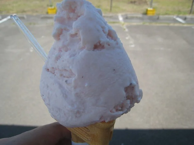 ハーブカントリー - 東大崎（ジェラート・アイスクリーム）の写真