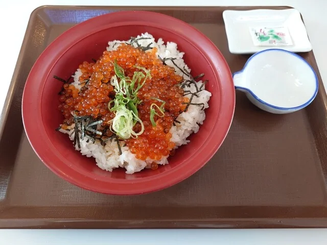 すき家 弘前中野店 - 弘前学院大前（牛丼）の写真