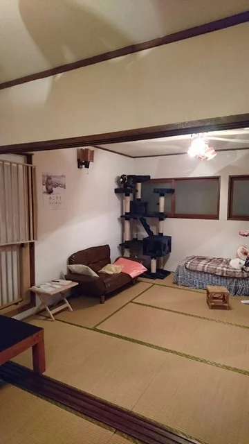 ねこ茶屋 - 中央弘前（喫茶店）の写真